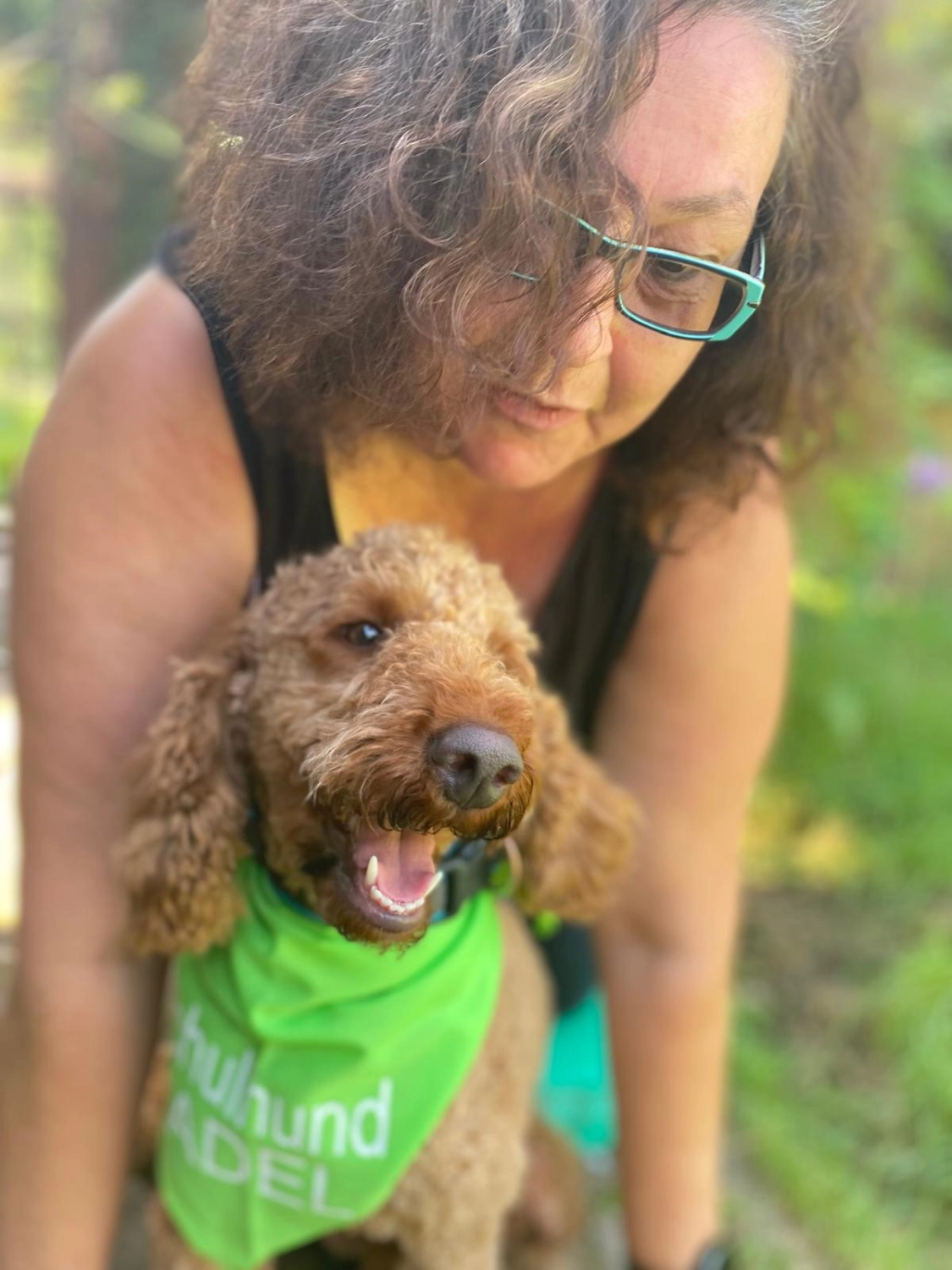 Labradoodle Familienhund Deutschland